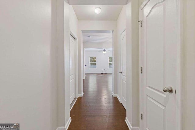 corridor featuring dark hardwood / wood-style flooring