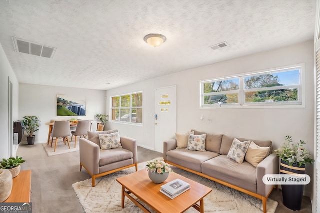 carpeted living room with a textured ceiling