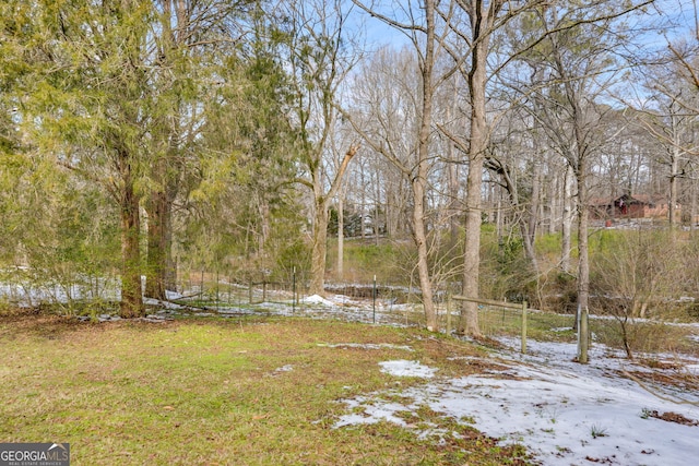 view of yard layered in snow