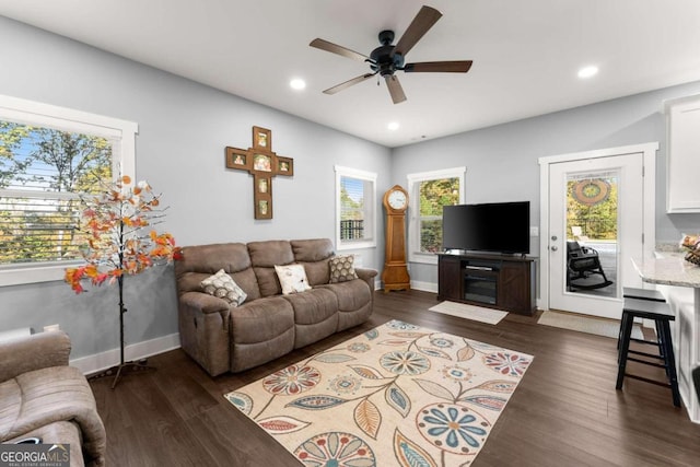 living room featuring ceiling fan and dark hardwood / wood-style floors