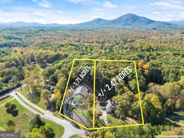 birds eye view of property with a mountain view