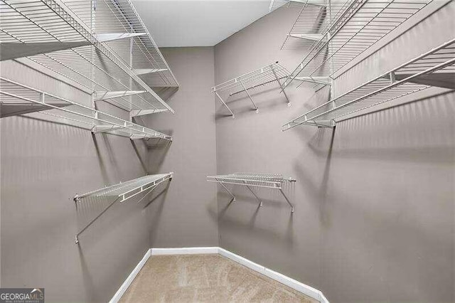 walk in closet with carpet flooring