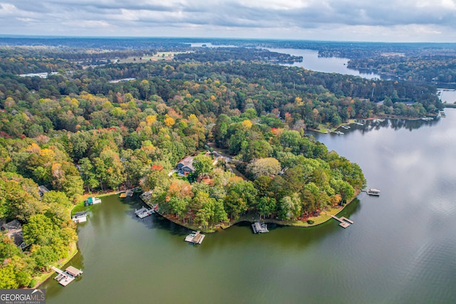 aerial view with a water view