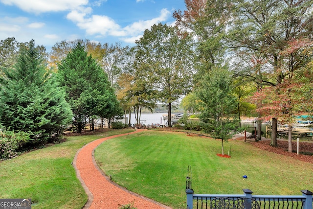 view of home's community with a yard