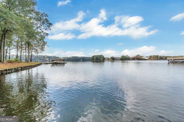 view of water feature featuring a boat dock