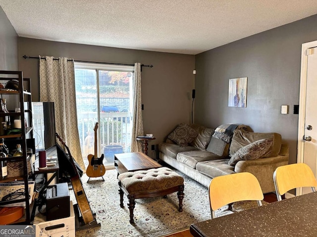 living room featuring hardwood / wood-style flooring and a textured ceiling