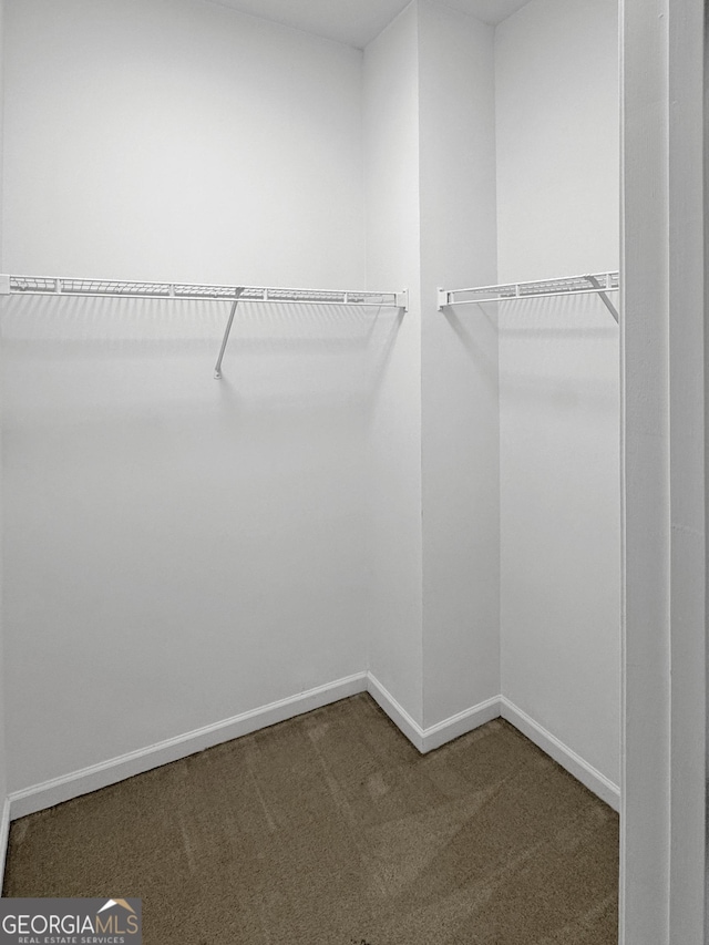 walk in closet featuring carpet flooring