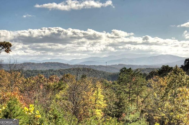 view of mountain feature