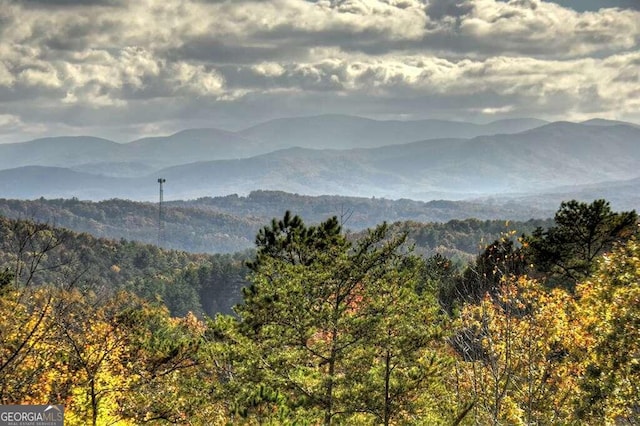 view of mountain feature