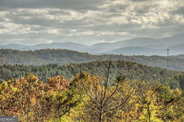 property view of mountains