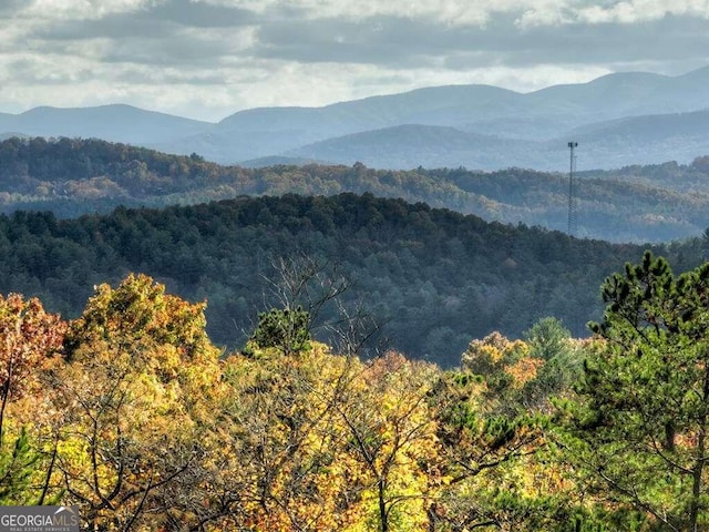 property view of mountains