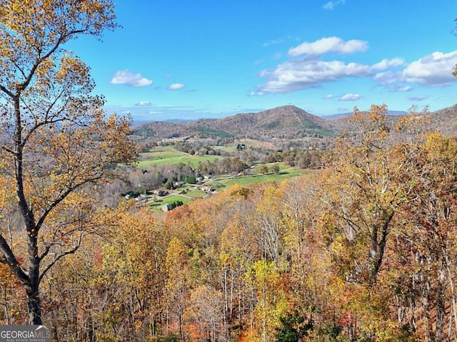 property view of mountains