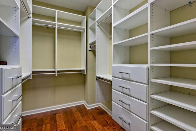 walk in closet with dark hardwood / wood-style flooring