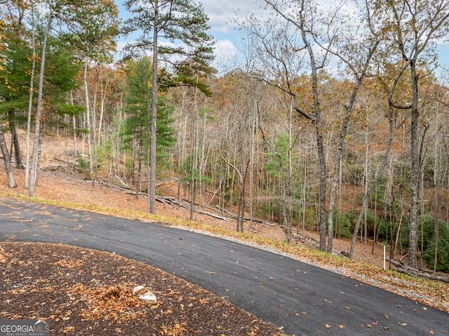 Listing photo 2 for LOT15 Briar Creek Ct, Morganton GA 30560