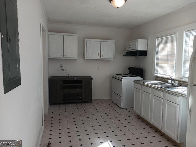 washroom with crown molding, sink, and electric panel