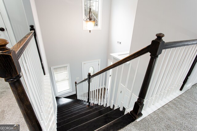 stairway featuring carpet