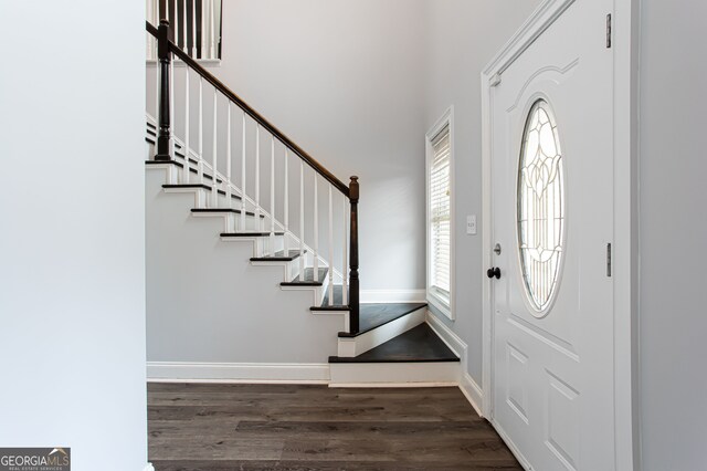 foyer entrance featuring dark hardwood / wood-style flooring