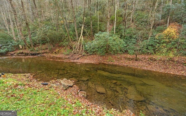 view of yard featuring a water view