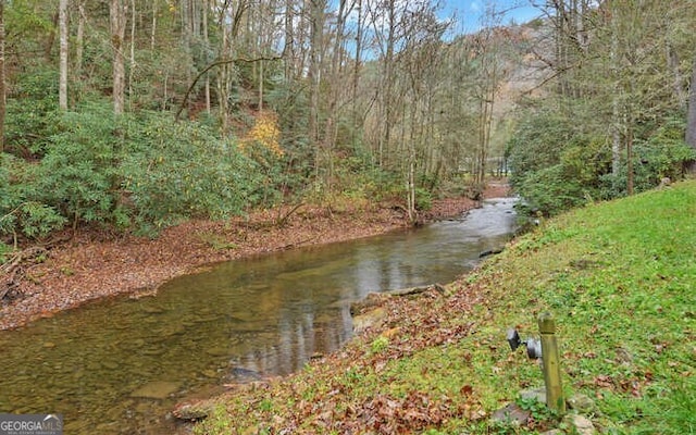 7670 Hiawassee Wilderness Trl, Hiawassee, GA 30546 - water view featuring a heavily wooded area