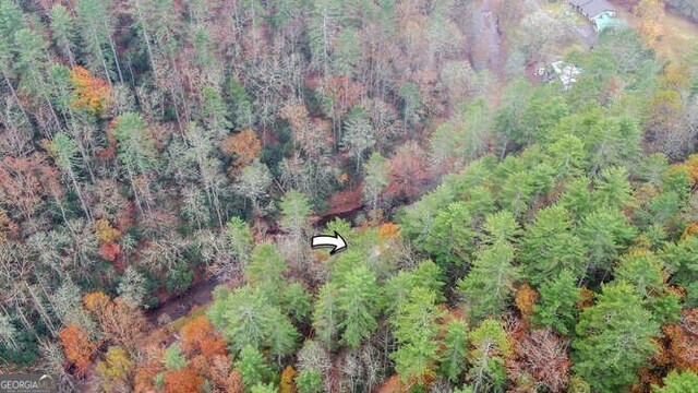 7670 Hiawassee Wilderness Trl, Hiawassee, GA 30546 - view of property location with a heavily wooded area