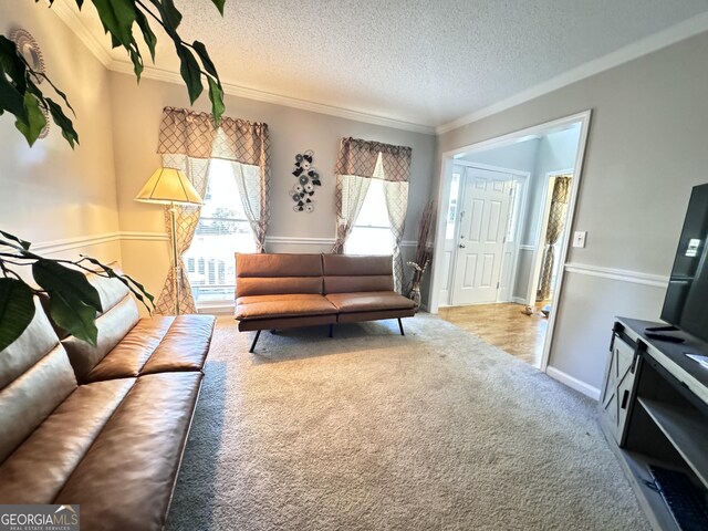 carpeted living room featuring crown molding and a textured ceiling