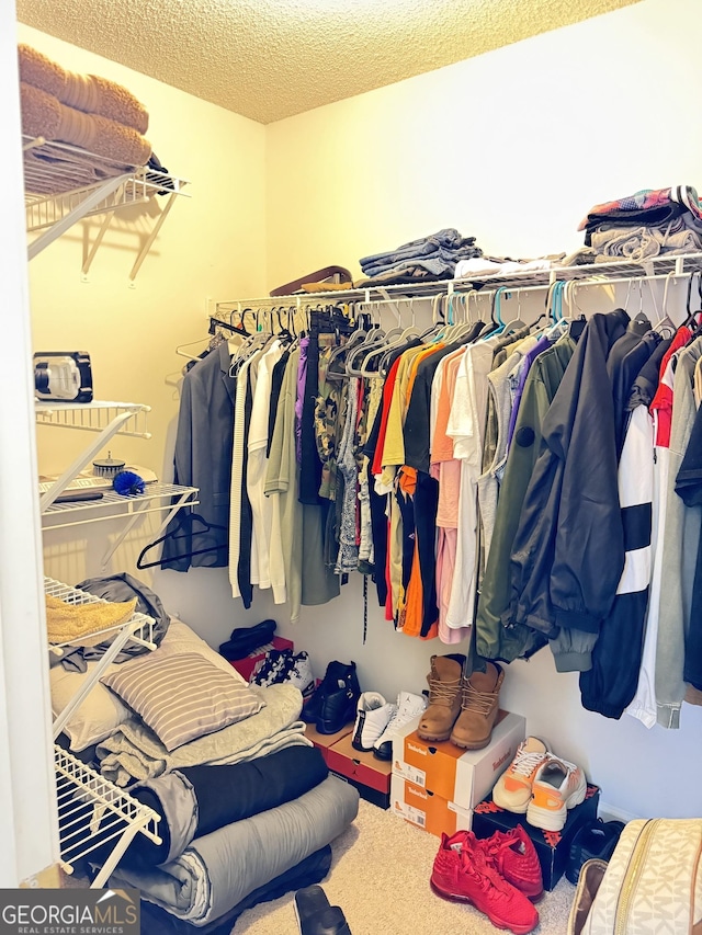 spacious closet with carpet