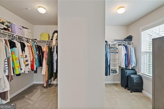 spacious closet with light colored carpet