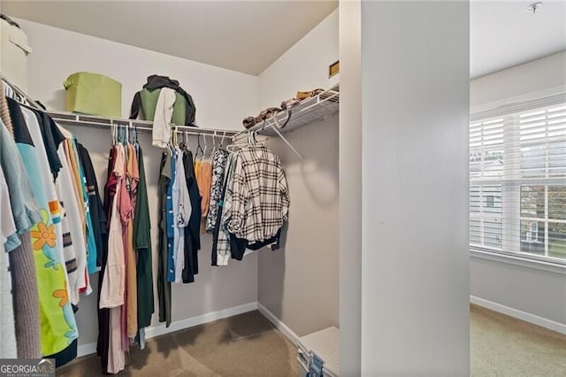 walk in closet with carpet floors