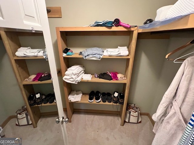 spacious closet with light carpet