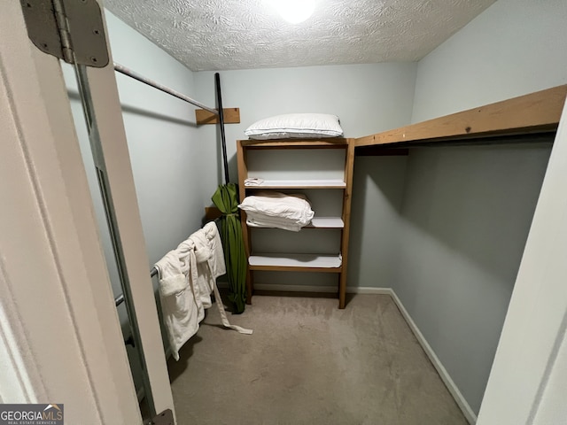 spacious closet featuring carpet floors