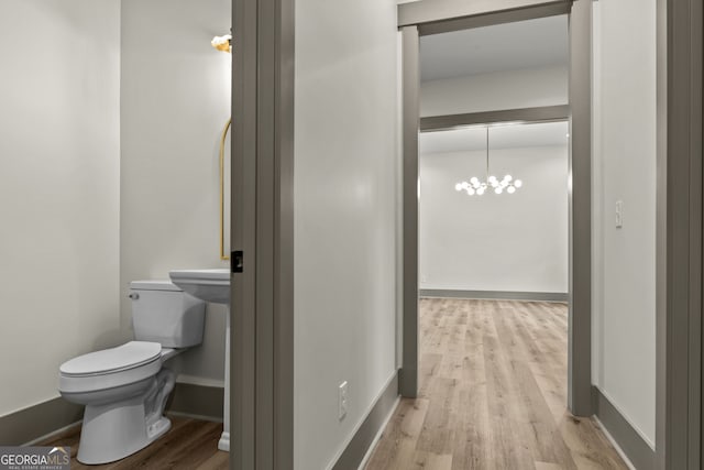 bathroom featuring toilet and hardwood / wood-style floors