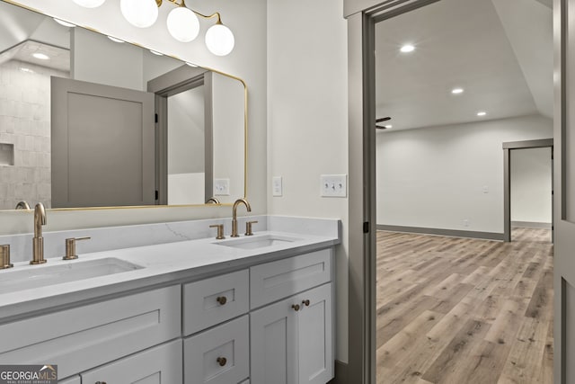 bathroom featuring hardwood / wood-style flooring and vanity