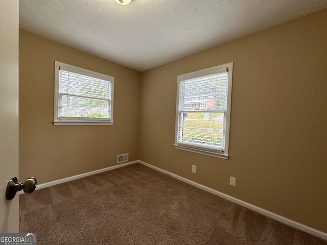 carpeted spare room with a healthy amount of sunlight and a textured ceiling