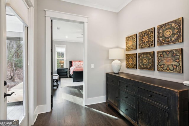 hall featuring dark hardwood / wood-style flooring and crown molding