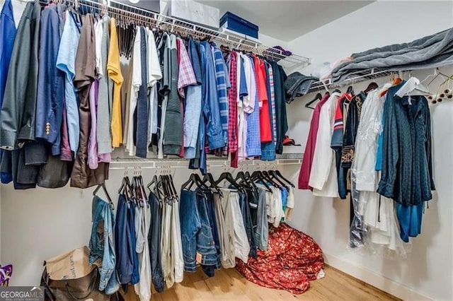 spacious closet with wood-type flooring