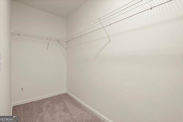 spacious closet with light carpet