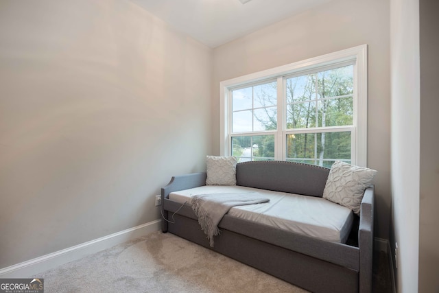 sitting room featuring carpet flooring