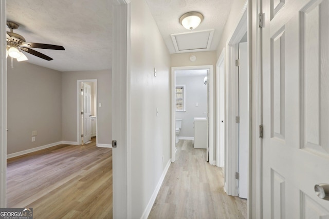 hallway featuring light wood-type flooring and a textured ceiling