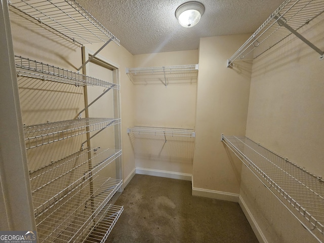 spacious closet featuring dark colored carpet