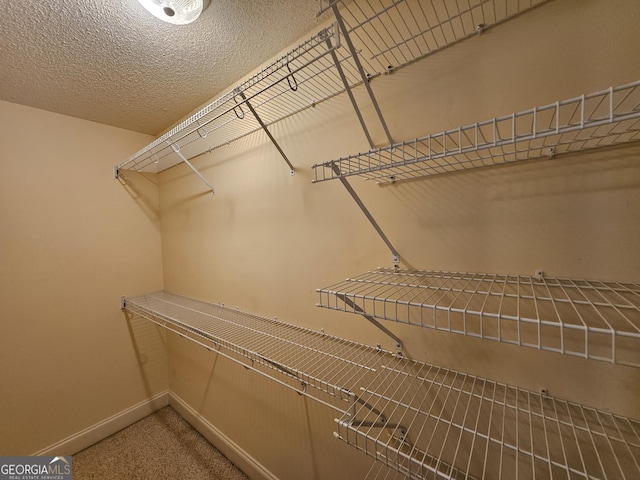 walk in closet featuring carpet