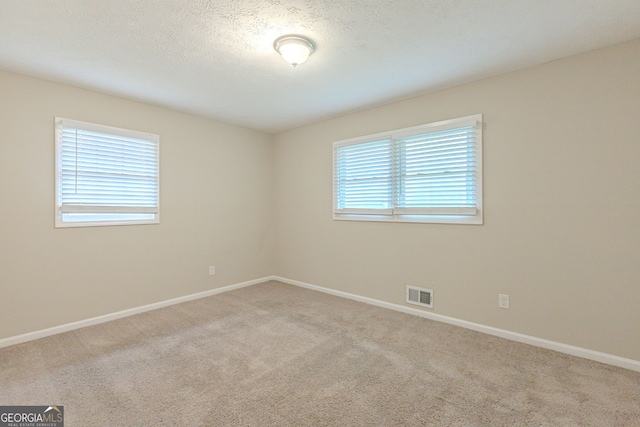 carpeted empty room featuring a textured ceiling and a healthy amount of sunlight