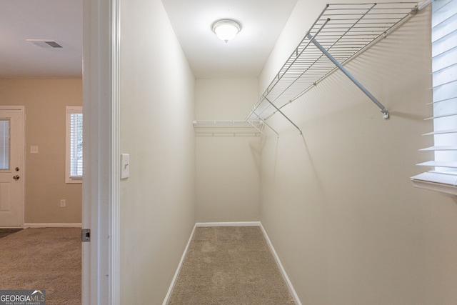 spacious closet featuring carpet flooring