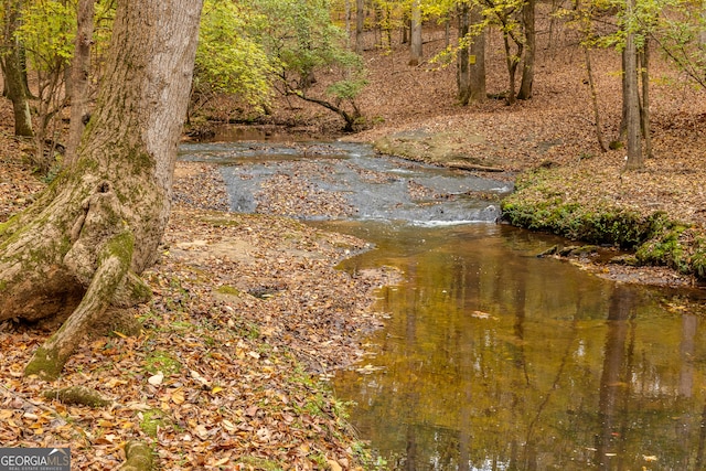 view of nature