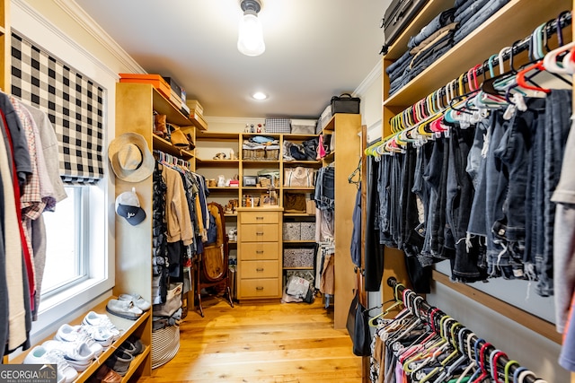 spacious closet featuring light wood-type flooring