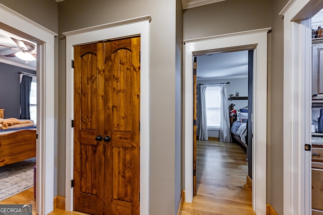 hall with light wood-type flooring, ornamental molding, and plenty of natural light