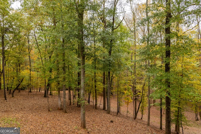 view of landscape