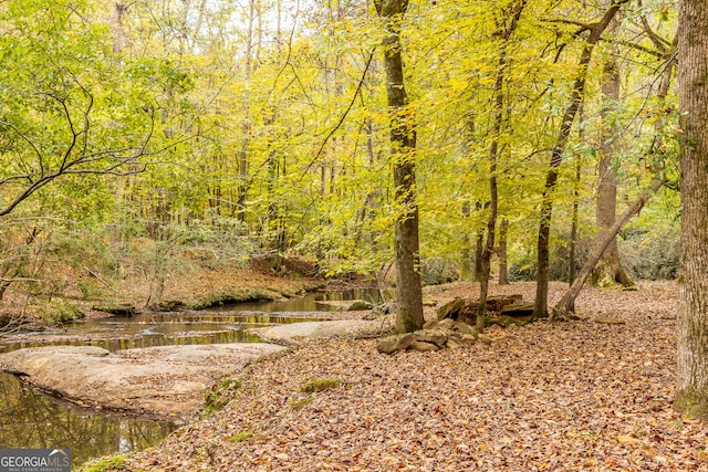 view of local wilderness