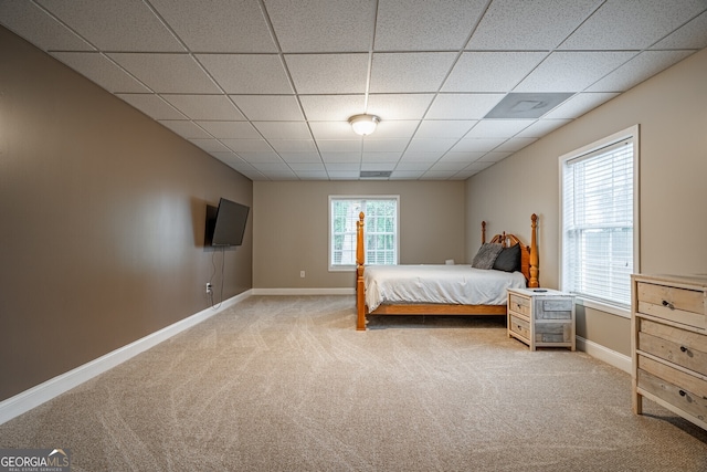 carpeted bedroom with a paneled ceiling and multiple windows