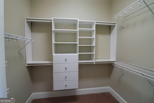 spacious closet with carpet