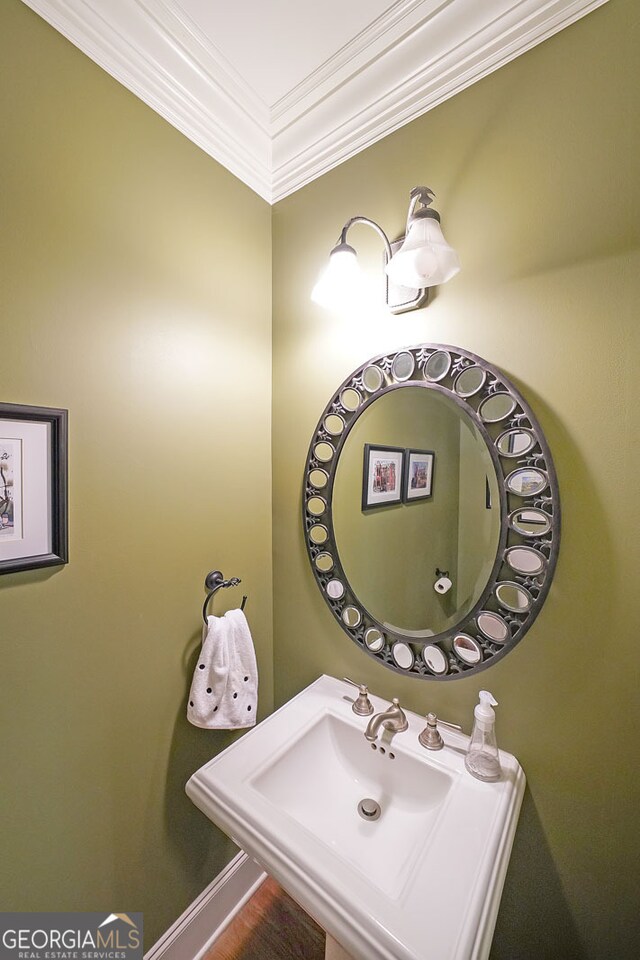 bathroom featuring sink, wood-type flooring, and ornamental molding